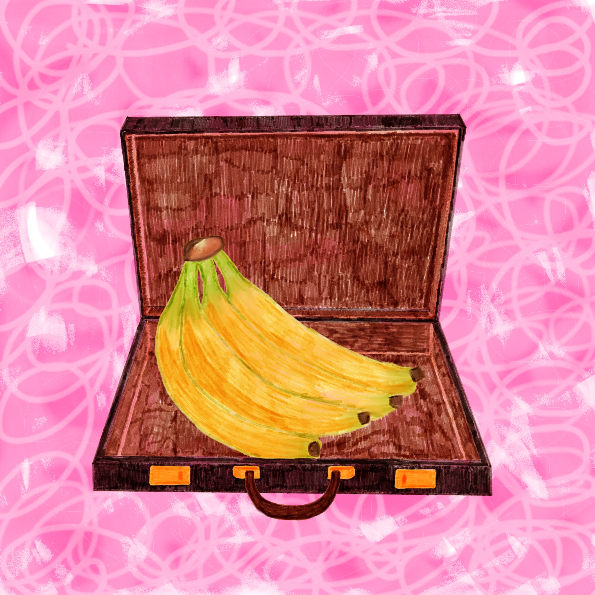 banana bunch in briefcase